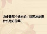 凉皮是那个地方的（陕西凉皮是什么地方的菜）