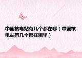 中国核电站有几个都在哪（中国核电站有几个都在哪里）