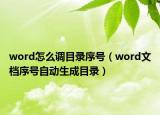 word怎么调目录序号（word文档序号自动生成目录）