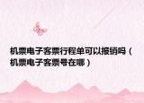 机票电子客票行程单可以报销吗（机票电子客票号在哪）
