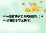 vivo语音助手怎么关闭音乐（vivo语音助手怎么关闭）