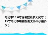笔记本15.6寸屏幕壁纸多大尺寸（15寸笔记本电脑壁纸大小大小是多少）