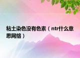 粘土染色没有色素（ntr什么意思网络）