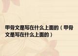 甲骨文是写在什么上面的（甲骨文是写在什么上面的）