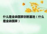 什么是金砖国家创新基地（什么是金砖国家）