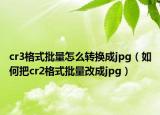 cr3格式批量怎么转换成jpg（如何把cr2格式批量改成jpg）