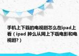 手机上下载的电视剧怎么在ipad上看（ipad 肿么从网上下载电影和电视剧?）