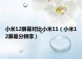 小米12屏幕对比小米11（小米12屏幕分辨率）