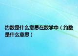约数是什么意思在数学中（约数是什么意思）