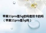 苹果11pro是5g的吗是双卡的吗（苹果11pro是5g吗）