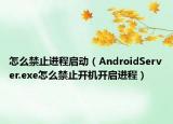 怎么禁止进程启动（AndroidServer.exe怎么禁止开机开启进程）