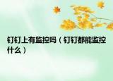 钉钉上有监控吗（钉钉都能监控什么）