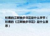 杜甫的江畔独步寻花是什么季节（杜甫的《江畔独步寻花》是什么意思）