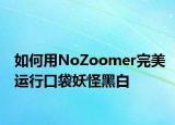 如何用NoZoomer完美运行口袋妖怪黑白