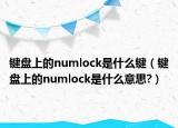 键盘上的numlock是什么键（键盘上的numlock是什么意思?）