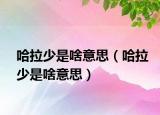 哈拉少是啥意思（哈拉少是啥意思）