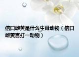 信口雌黄是什么生肖动物（信口雌黄言打一动物）