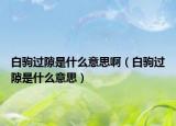白驹过隙是什么意思啊（白驹过隙是什么意思）