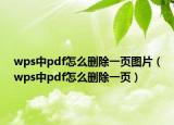 wps中pdf怎么删除一页图片（wps中pdf怎么删除一页）