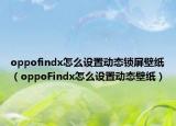 oppofindx怎么设置动态锁屏壁纸（oppoFindx怎么设置动态壁纸）