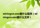winlogon.exe是什么程序（winlogon.exe是什么文件）