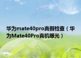 华为mate40pro真假检查（华为Mate40Pro真机曝光）