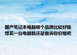 国产笔记本电脑哪个品牌比较好我想买一台电脑我还是告诉你价格吧