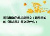 司马相如的凤求凰译文（司马相如的《凤求凰》原文是什么）