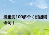 蜘组词100多个（蜘组词语词）