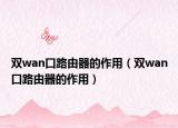 双wan口路由器的作用（双wan口路由器的作用）