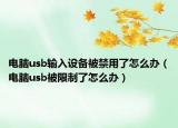 电脑usb输入设备被禁用了怎么办（电脑usb被限制了怎么办）