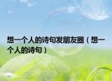 想一个人的诗句发朋友圈（想一个人的诗句）