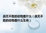 战无不胜的动物是什么（战无不胜的动物是什么生肖）