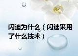 闪迪为什么（闪迪采用了什么技术）