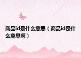 商品id是什么意思（商品id是什么意思啊）