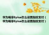 华为畅享8plus怎么设置指纹支付（华为畅享8plus怎么设置指纹支付）