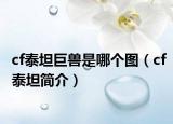 cf泰坦巨兽是哪个图（cf泰坦简介）