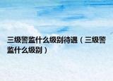 三级警监什么级别待遇（三级警监什么级别）