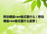移动硬盘raw格式是什么（移动硬盘raw格式是什么意思）