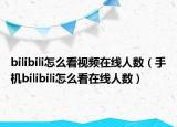 bilibili怎么看视频在线人数（手机bilibili怎么看在线人数）