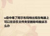 u盘中毒了阿尔布玛特出现在电脑上可以在音乐文件夹里删除吗我该怎么办