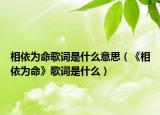 相依为命歌词是什么意思（《相依为命》歌词是什么）