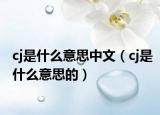 cj是什么意思中文（cj是什么意思的）