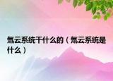 氚云系统干什么的（氚云系统是什么）