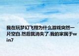 我在玩梦幻飞翔为什么游戏突然一片空白.然后就消失了.我的家属于win7