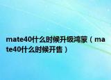 mate40什么时候升级鸿蒙（mate40什么时候开售）