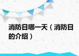 消防日哪一天（消防日的介绍）