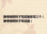 静悄悄照样子写词语各写三个（静悄悄照样子写词语）