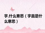 宇,什么意思（宇直是什么意思）