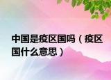 中国是疫区国吗（疫区国什么意思）